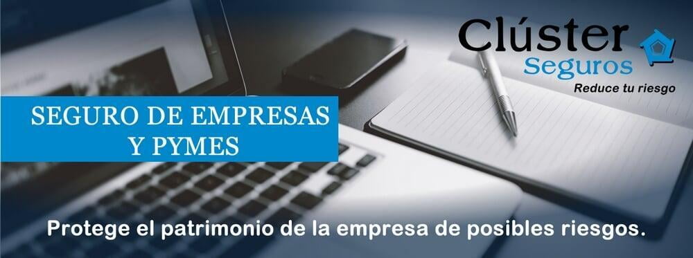 Seguros Empresas y Pymes